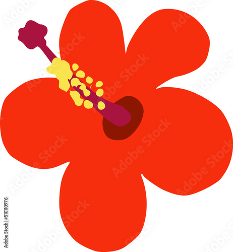 Red Hibiscus Flower Illustration