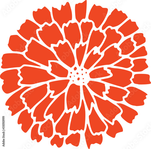 Red Mums Flower Illustration
