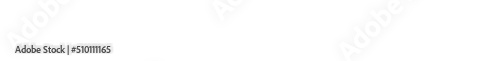 White Dry Grass Flowers Banner Frame