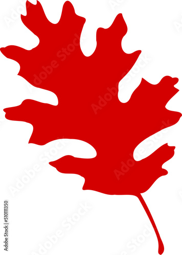 Red Sharp Oak Leaf Illustration