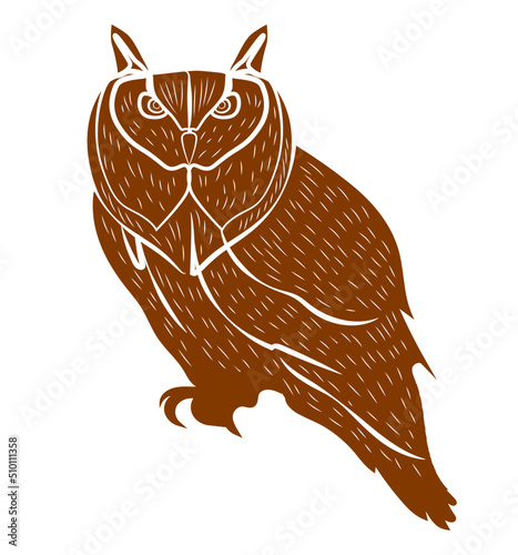 Owl illustration