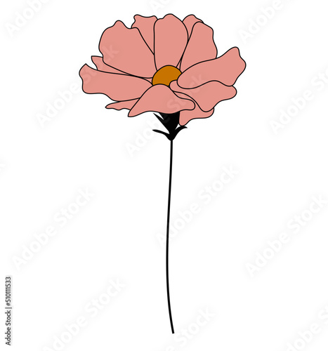 Flower illustration