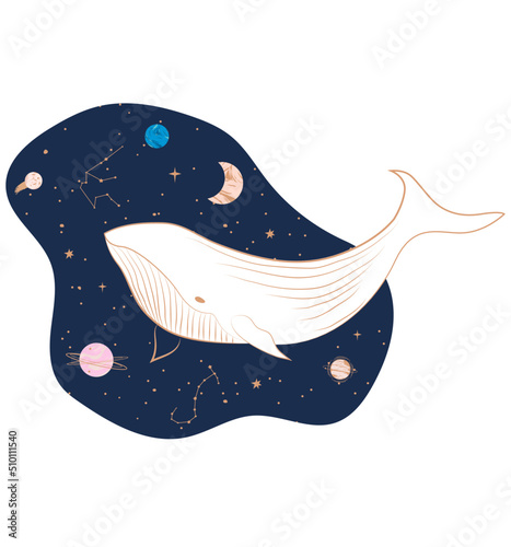 Whale floating in the galaxy illustration