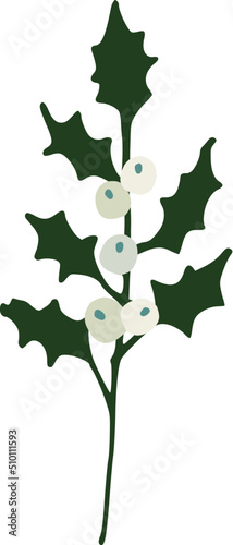 White Holly Branch Illustration