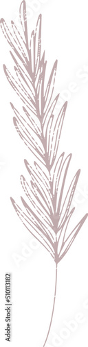 Elegant branches and leaves hand drawn illustration, minimal doodles
