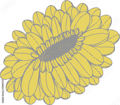 Yellow flowers and leaves vector hand drawn illustration