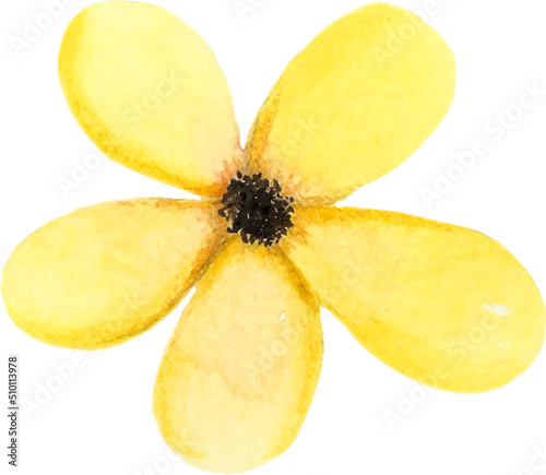Yellow watercolor flower illustration hand drawn