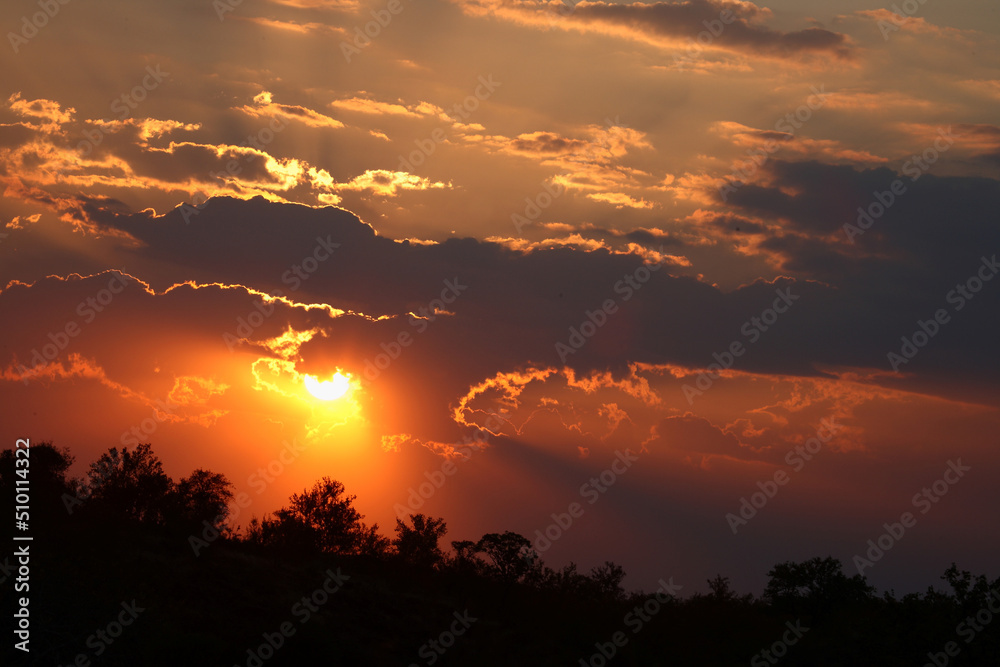 Fototapeta premium Sonnenuntergang - Krüger Park Südafrika / Sundown - Kruger Park South Africa /