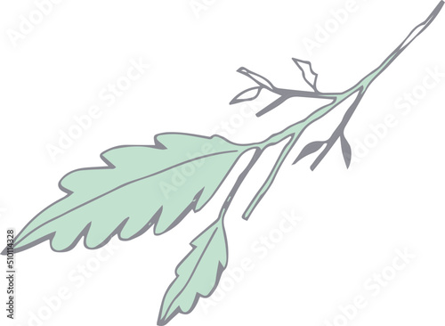 Yellow flowers and leaves vector hand drawn illustration