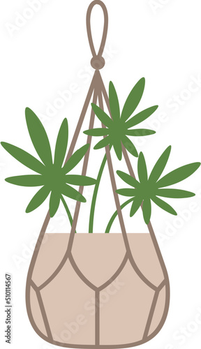 Plant in hanging pot macrame hanger