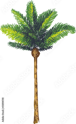 Colourful hand drawn palm tree