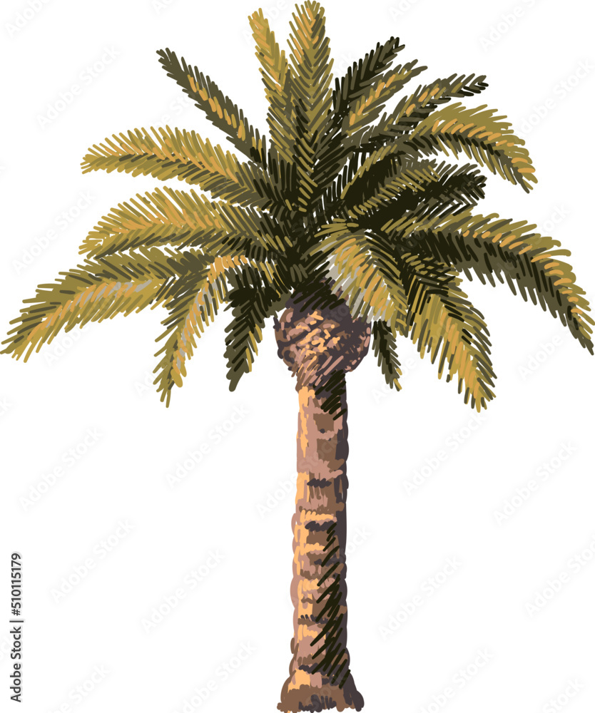 Colourful hand drawn palm tree