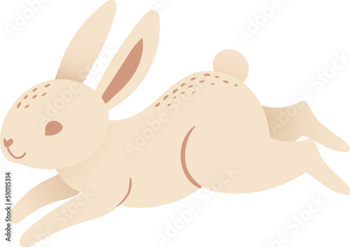 Cute jumping rabbit