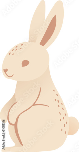 Cute sitting rabbit