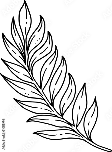 Tropical Floral Illustrations