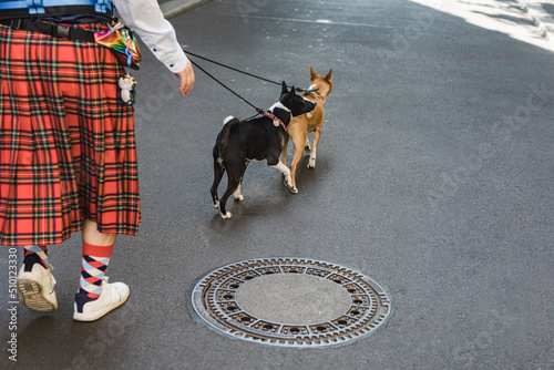 Alternative man in a funky kilt walking basenji dogs photo