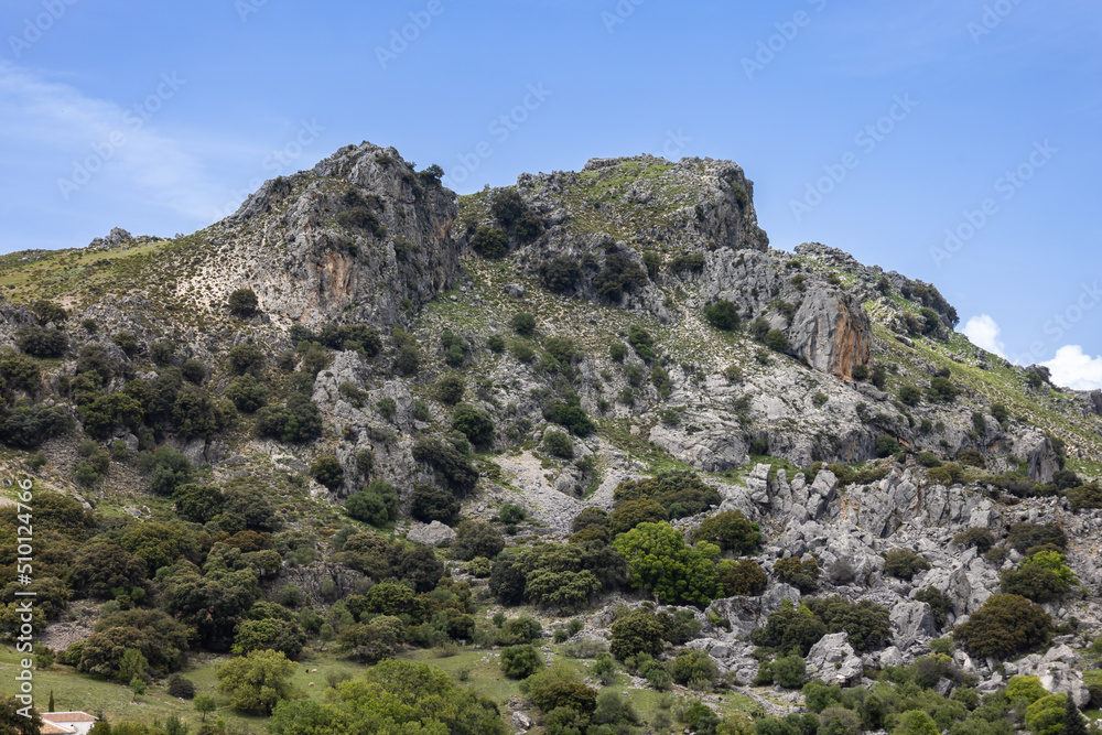 Sierra de Grazalema national park, mountains in Cadiz, Andalusia, Spain.