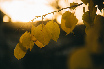 october