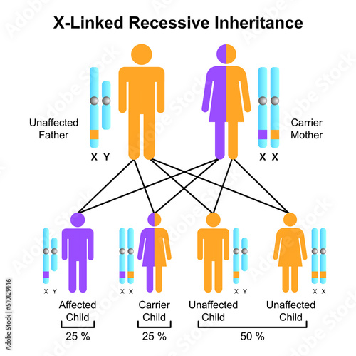Scientific Designing of X-Linked Recessive Inheritance. Colorful Symbols. Vector Illustration.