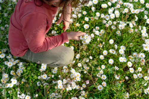 Little girl picking flowers in spring photo