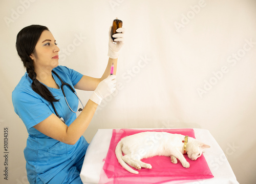 beautiful young female veterinarian in blue uniform preparing kitten vaccination in veterinary consultation