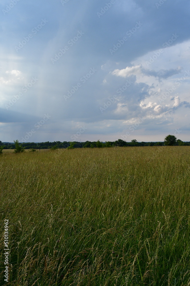 Cloudscape Over a Grassy Field