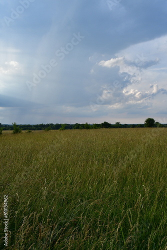 Cloudscape Over a Grassy Field