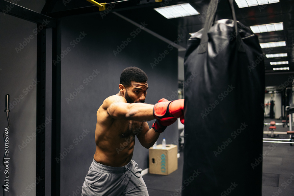 Boxer training with a punching bag Boxer training with a punching bag