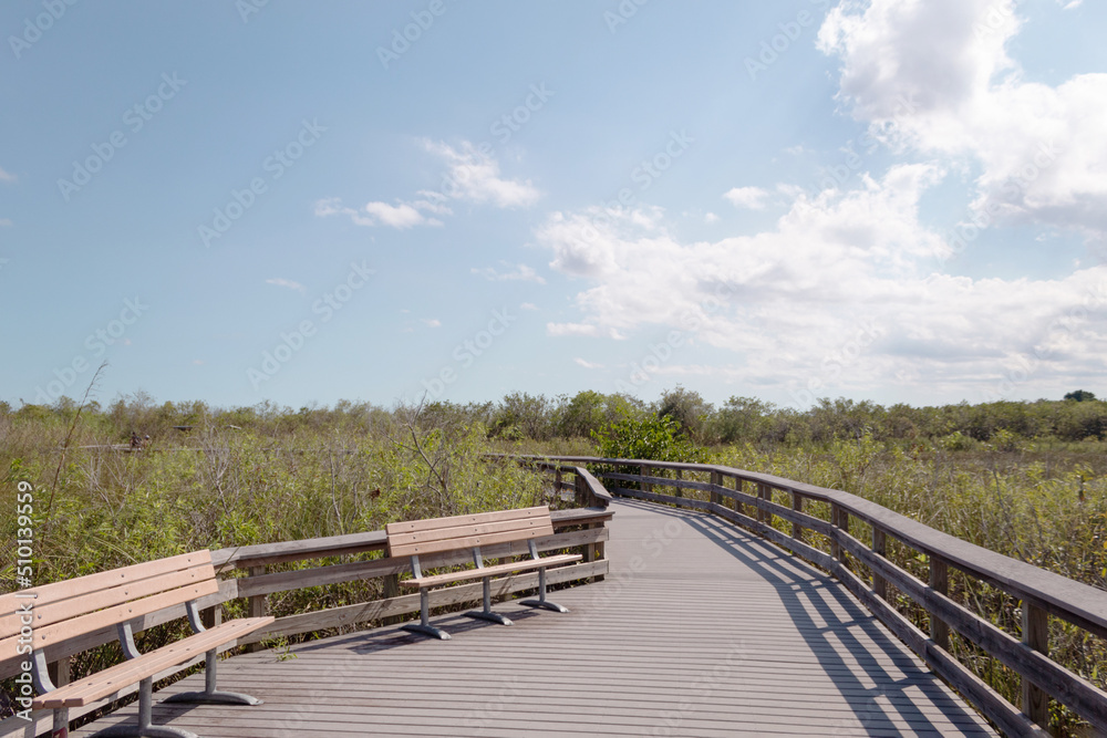 Wooden path with chairs surrounded by wetlands during a summer day. Everglades, Florida