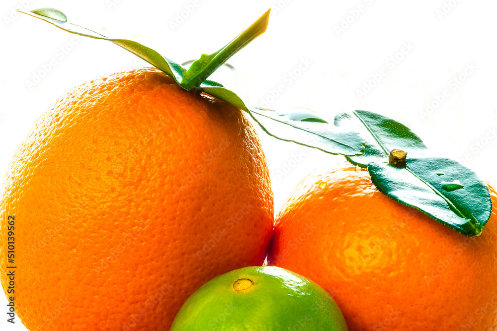 Close up of fresh citrus fruits with bright sun making a white background.
