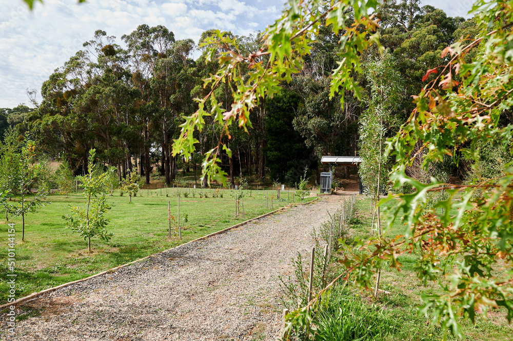 Large garden with young tree plantings Large garden with young tree plantings