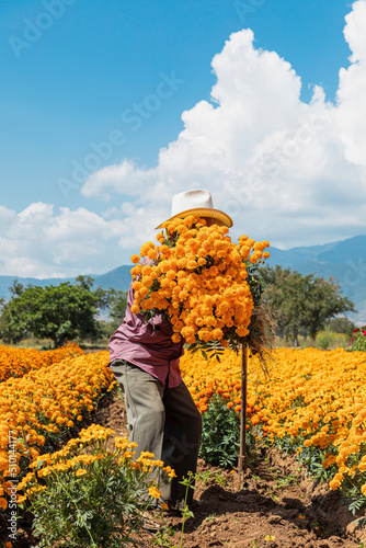 A man holding bouquets of dia de muertos flowers in Oaxaca Mexico photo