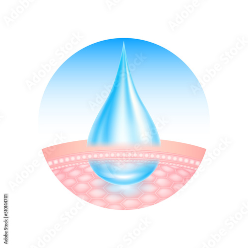 Active ingredient nurture deep into skin moisturizing close up. Skin care with water drop is absorbed into the skin cells. Sign for cosmetics packaging lotions, serums, creams. Realistic 3D vector.