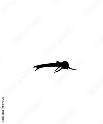 dinosaur svg bundle, dinosaur, t-rex svg, dinosaur png, trex svg, dinosaur shirt, Tyrannosaurus, Rex Dinosaur, Dinosaur Silhouette Svg png
