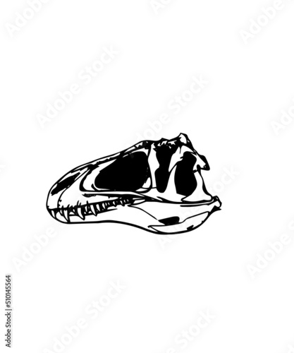 dinosaur svg bundle, dinosaur, t-rex svg, dinosaur png, trex svg, dinosaur shirt, Tyrannosaurus, Rex Dinosaur, Dinosaur Silhouette Svg png
