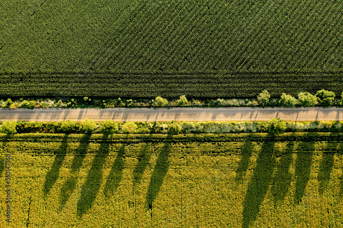 Aerial shot of road and wheat and sunflower agriculture fields photo