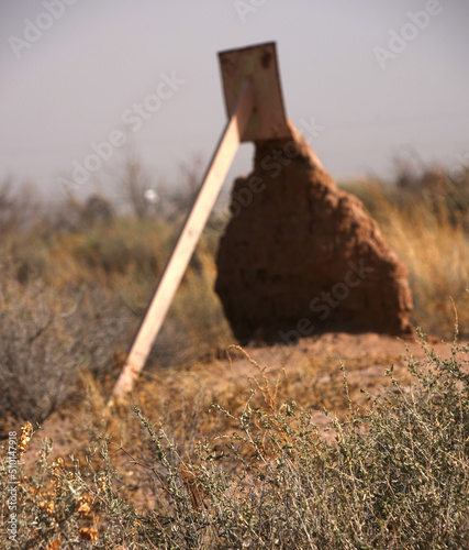 Historic Fort Selden, built in the Mesilla Valley, was a United States Army post occupying the area in what is now Radium Springs, New Mexico and was the site of a Confederate Army camp in 1861. photo