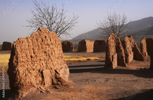 Historic Fort Selden, built in the Mesilla Valley, was a United States Army post occupying the area in what is now Radium Springs, New Mexico and was the site of a Confederate Army camp in 1861. photo