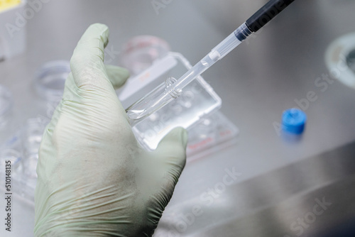 IVF procedure in petri dish in lab photo
