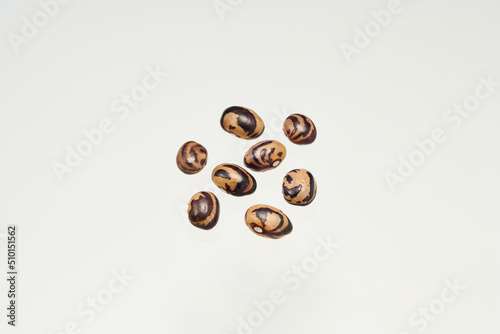 This is a group shot of "shell beans" from Hokkaido.,Japan.