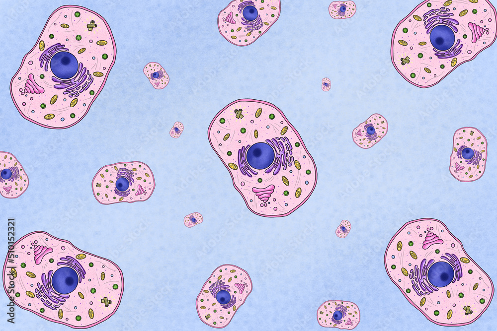 Repeating pattern of animal cells, illustration