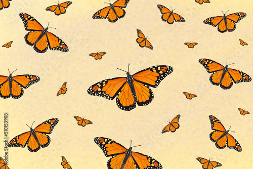 Repeating pattern of Monarch butterfly illustration photo