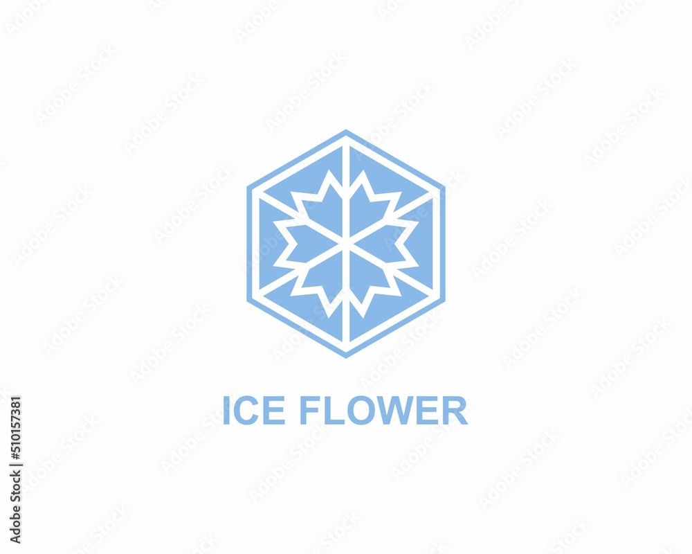 Ice flower logo shape hexagon