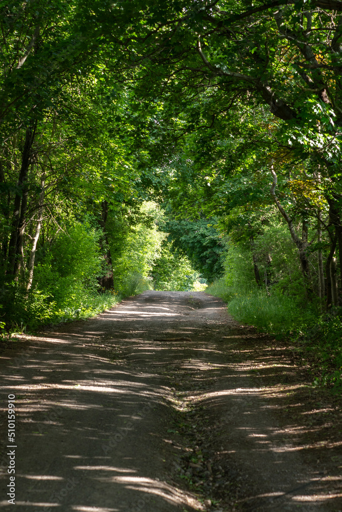 Landschaft im Ilm-Kreis Landschaft im Ilm-Kreis