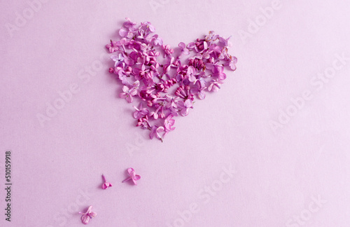 Love wishes card: a heart made of lilac flowers on a pastel background, top view, space for text