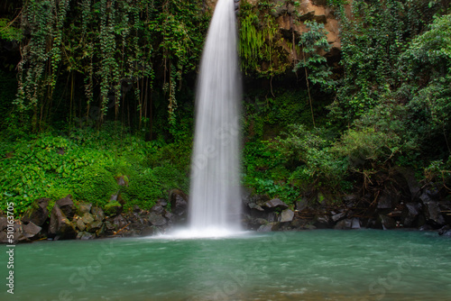 Fototapeta Naklejka Na Ścianę i Meble -  Waterfall scenery background surrounded by greenery in the forest