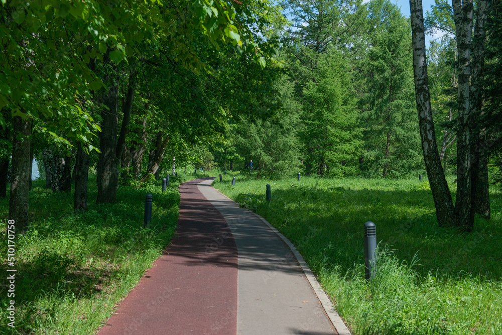 pedestrian and bicycle path in the forest