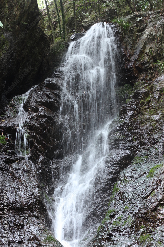 Fototapeta premium 物見山の五常の滝