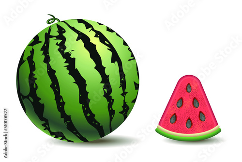 Watermelon and a piece of watermelon on a white background. Isolated image, vector drawing.