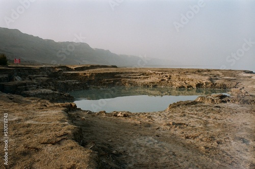 The Dead Sea  seacoast

 photo